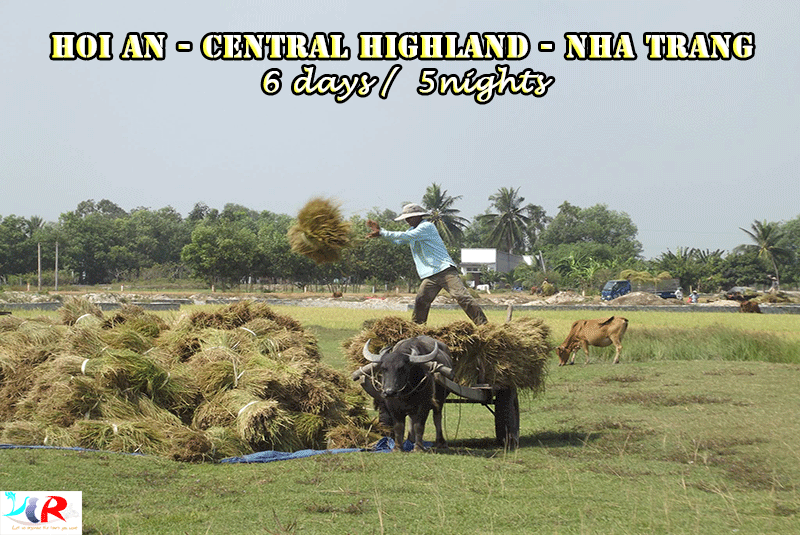 Hoian/Danang to Nhatrang motorbike tour in 6 days